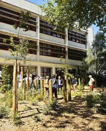L’école Bisson, de la reconstruction à la cour oasis