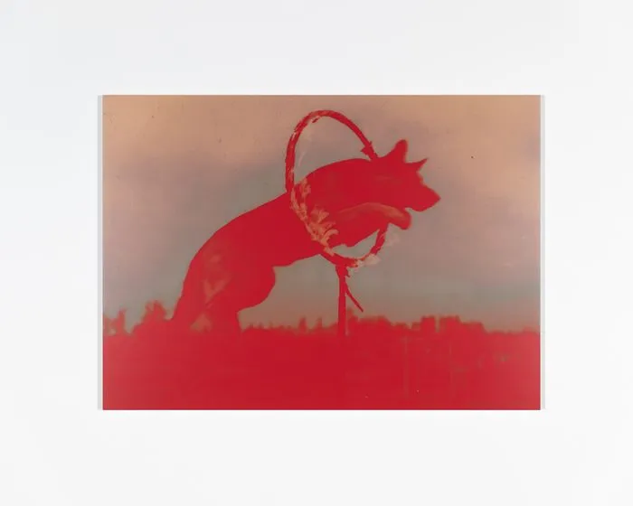 Exposition d'Annika Elisabeth von Hausswolff, A Song for Europe - Galerie Andréhn-Schiptjenko