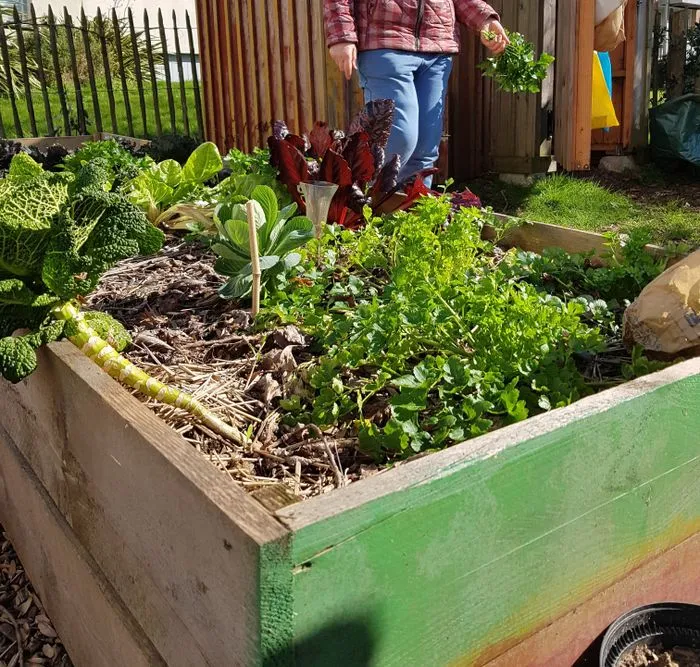 Hivernage du jardin de Dullin