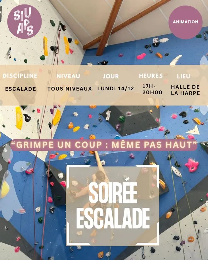 Soirée escalade