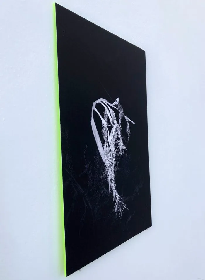 Imaginaires argentiques