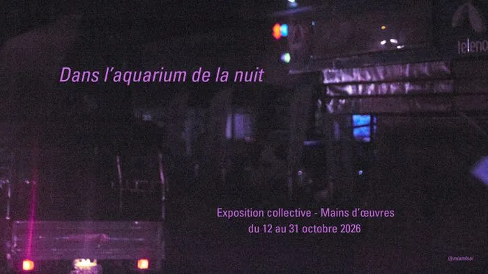 Dans l'aquarium de la nuit