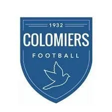 Football : Colomiers / Onet le Château