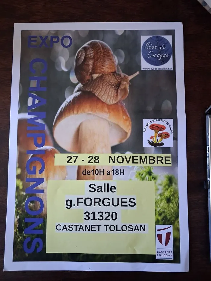 Exposition de champignons