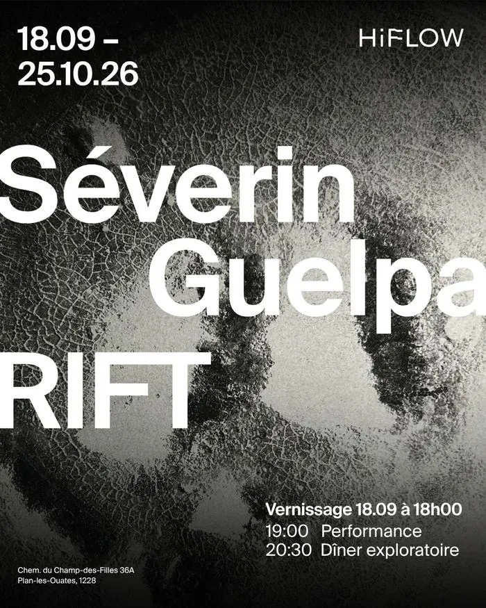 RIFT – Solo show de Séverin Guelpa