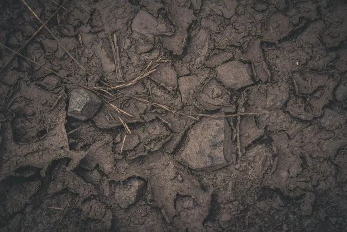 Atelier de découverte de la nature : sous la surface