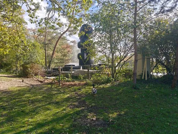 Marche et Méditation au Bois de Vincennes - Parc Floral de Paris