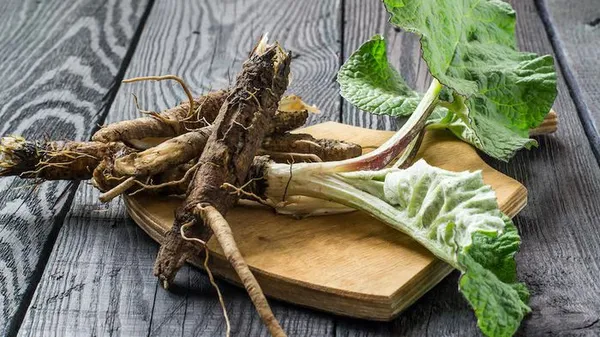 Atelier gourmand : du minéral au végétal, de la terre à l'assiette