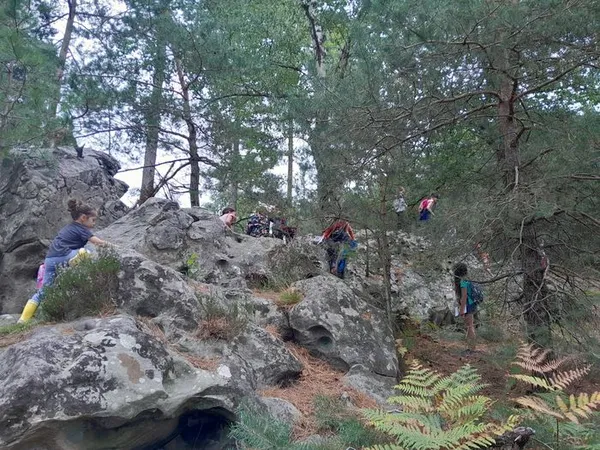 Bois de l'Epars