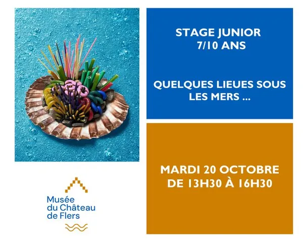 Stage Junior 7/10 ans : Quelques Lieues sous les mers ...