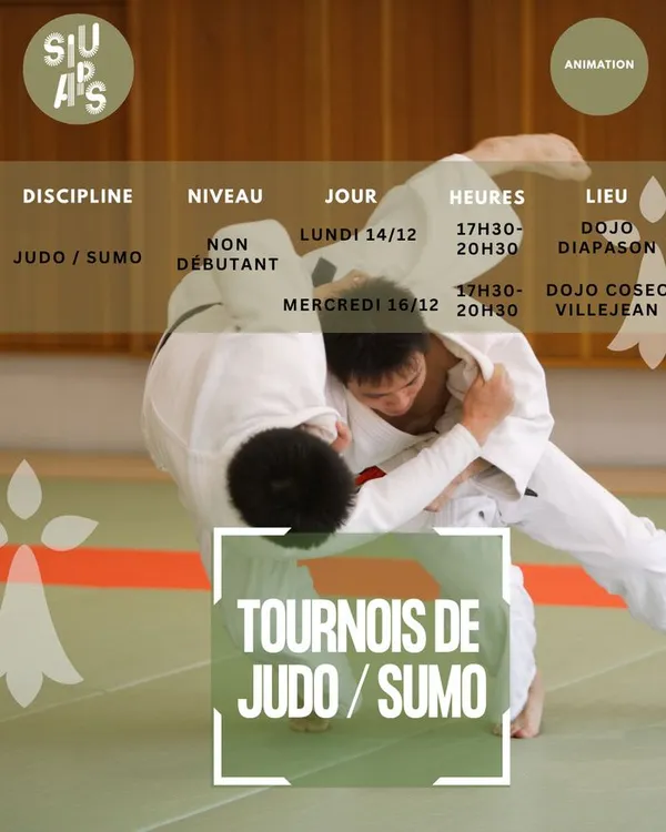 Tournoi judo/sumo