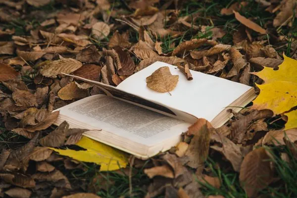 Atelier de curiosité : lire et dire la Terre