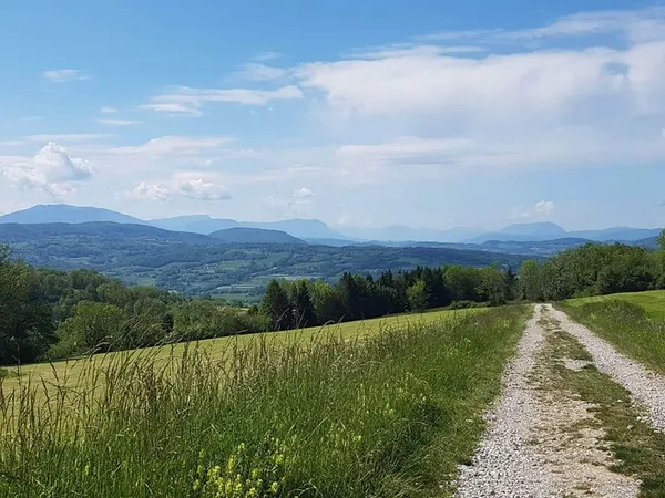 Balade à la découverte des plantes sauvages - panoramas et trésors sauvages à Charly d'Andilly (3h30)