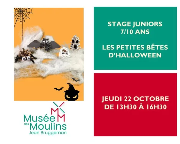 Stage Juniors 7/10 ans : les petites bêtes d'Halloween
