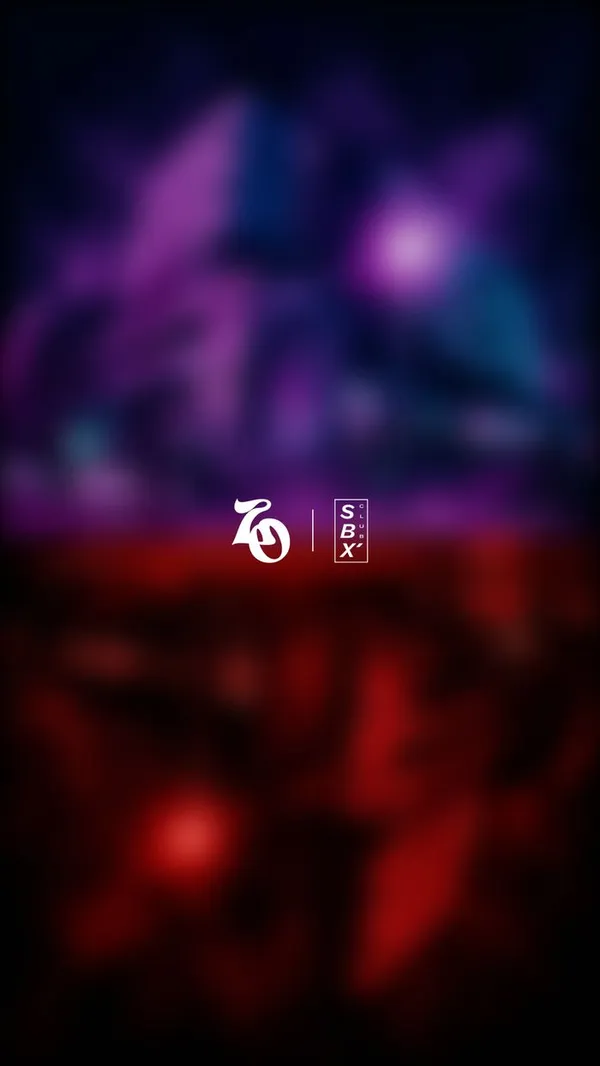 Zowne x SBX : UPSIDE DOWN