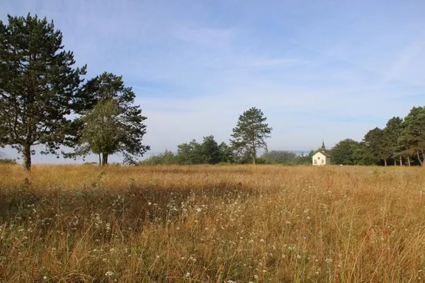 Balade « Découverte paysagère au plateau de Beauregard »