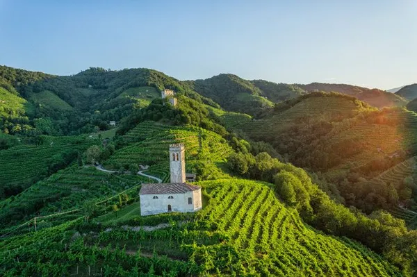 Prosecco Superiore DOCG